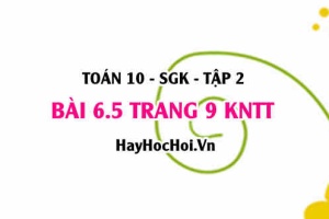 Bài 6.5 trang 9 Toán 10 tập 2 Kết nối tri thức